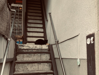 旅にでました