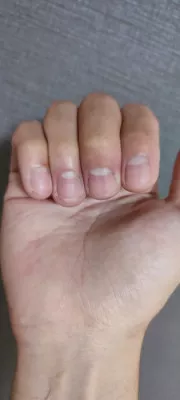 爪爪爪