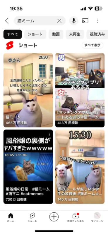 猫ミーム?