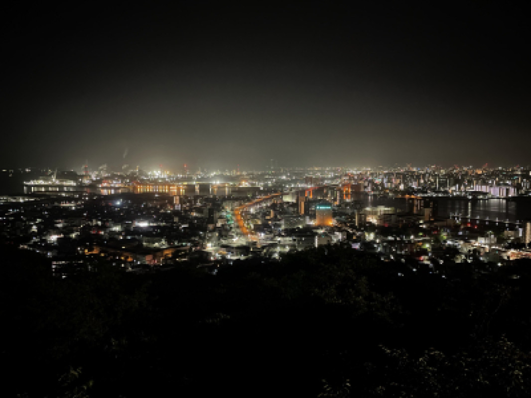 大好きな夜景?