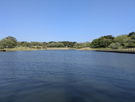 本日出勤（12時〜）
