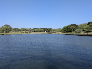 本日出勤（12時〜）