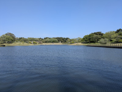 本日出勤（12時〜）