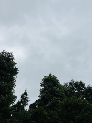 今日も元気に⭐︎