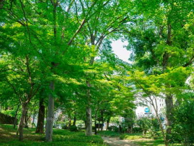本日のシフトです⭐︎