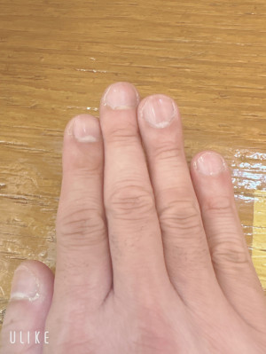 今日も元気に出勤してます