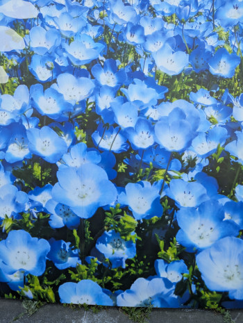 今日だけの静かな贅沢…ご予約お待ちしてます