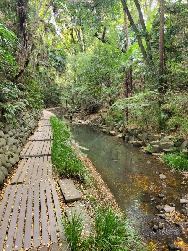 Nature Walk