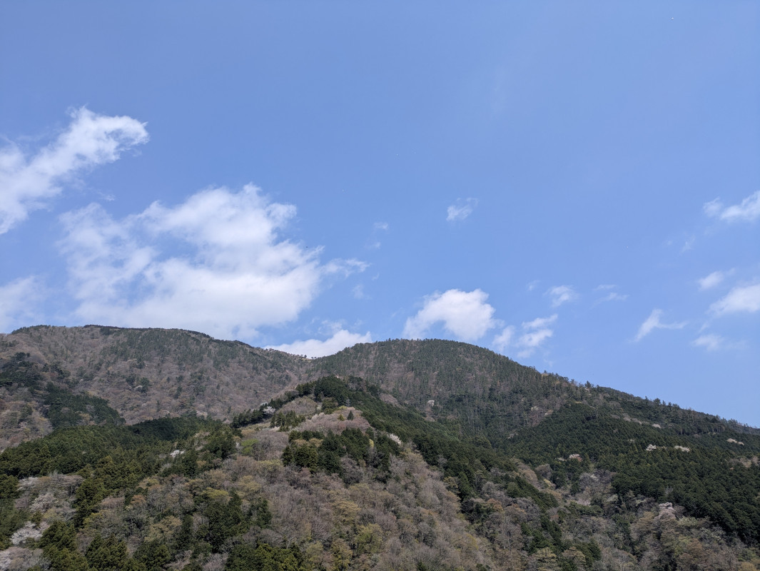 箱根の風に、すこし心をあずけて
