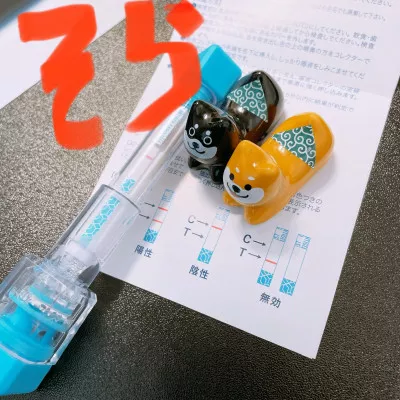 4月の抗原検査発表✨