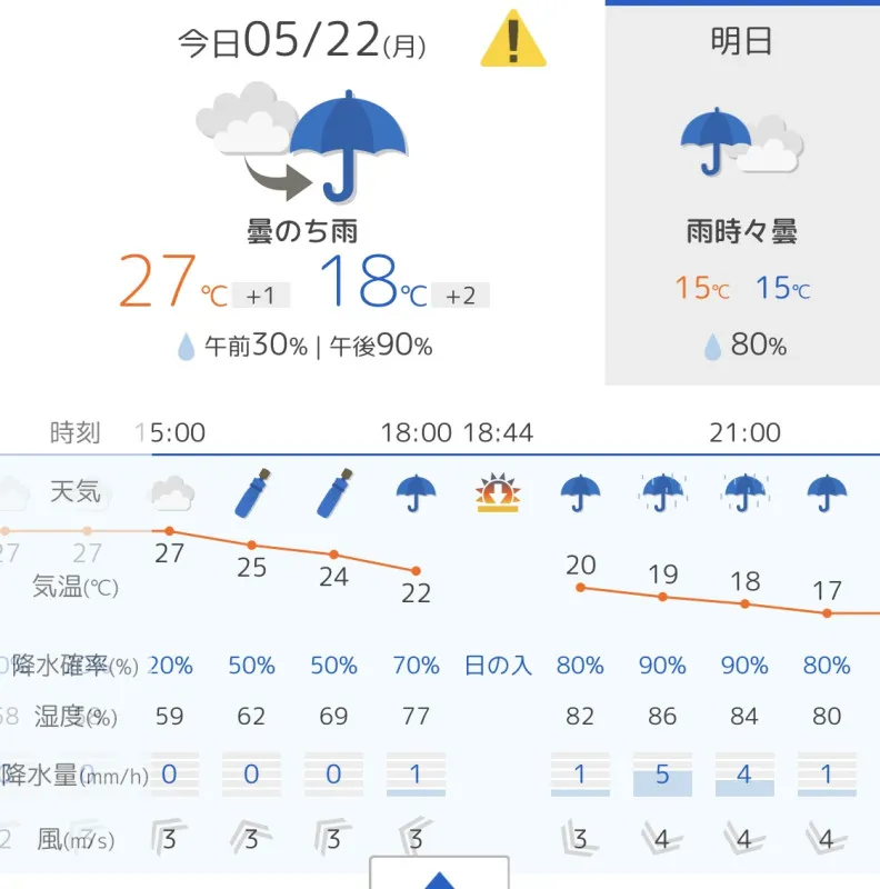 東京の夜は土砂降り