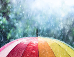 雨のmelody