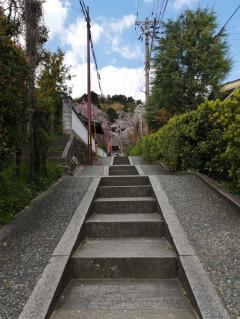 素敵な世界