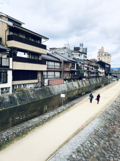 本日は京都