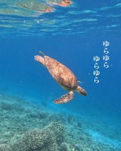 何考えてるんやろ…