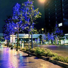 雨雨雨雨☻︎