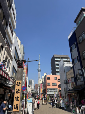 貪欲な向上心