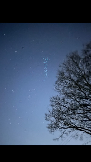 星に願いを