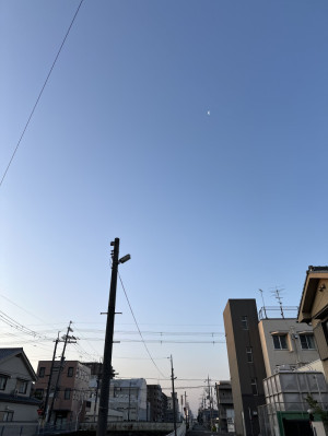 ちょっとだけ癒しの景色