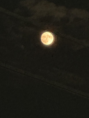 今夜は、まんまる。
