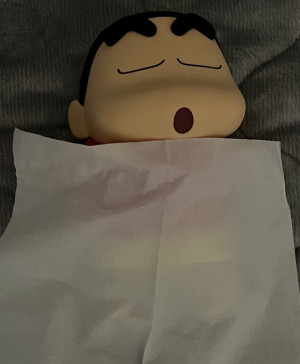 自然・環境に対する思索