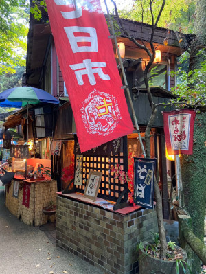 行きたい所シリーズ（近場編）