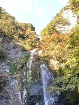 良いことありそう。