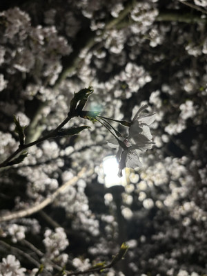 万博