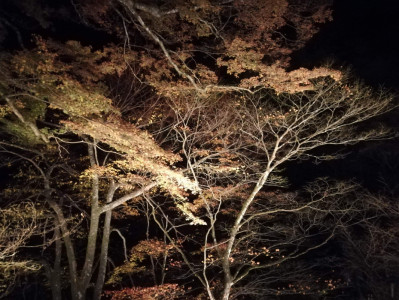 1番得意なこと