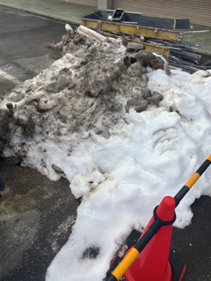 雪