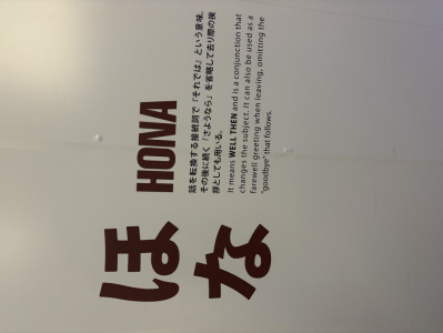 華金