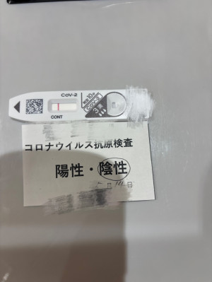 報告