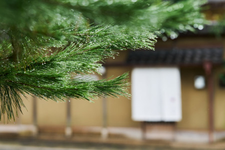 潤い！