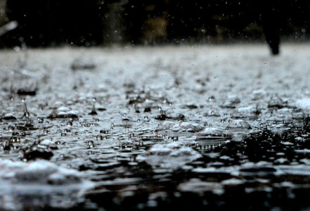 雨の朝