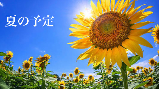 夏の予定
