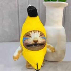 泣いた話