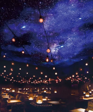 星の下で、ひと休み。