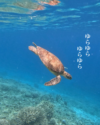 何考えてるんやろ…