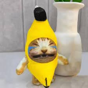 泣いた話