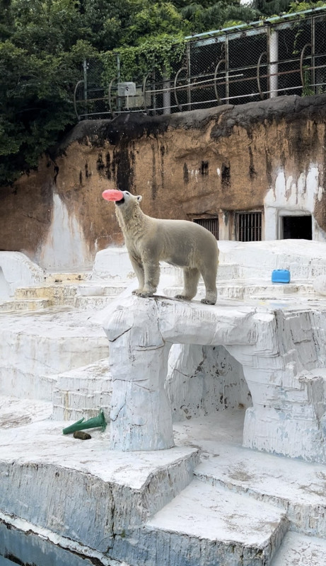 ワンコイン動物園