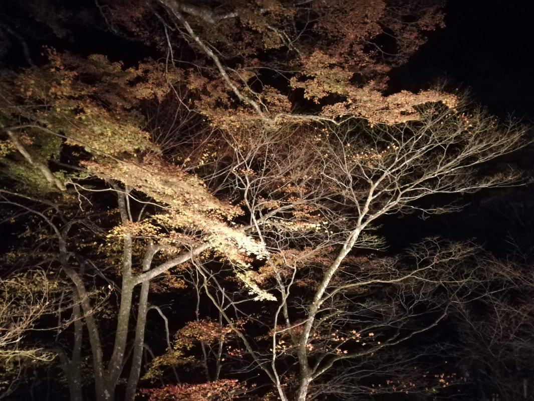 1番得意なこと