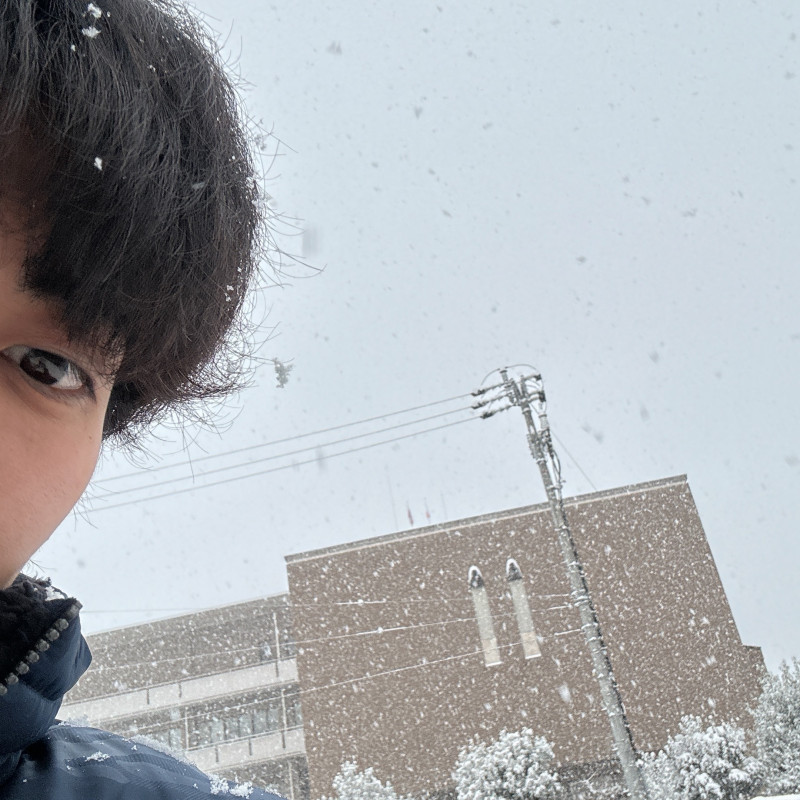 雪国⊂( ˆoˆ )⊃