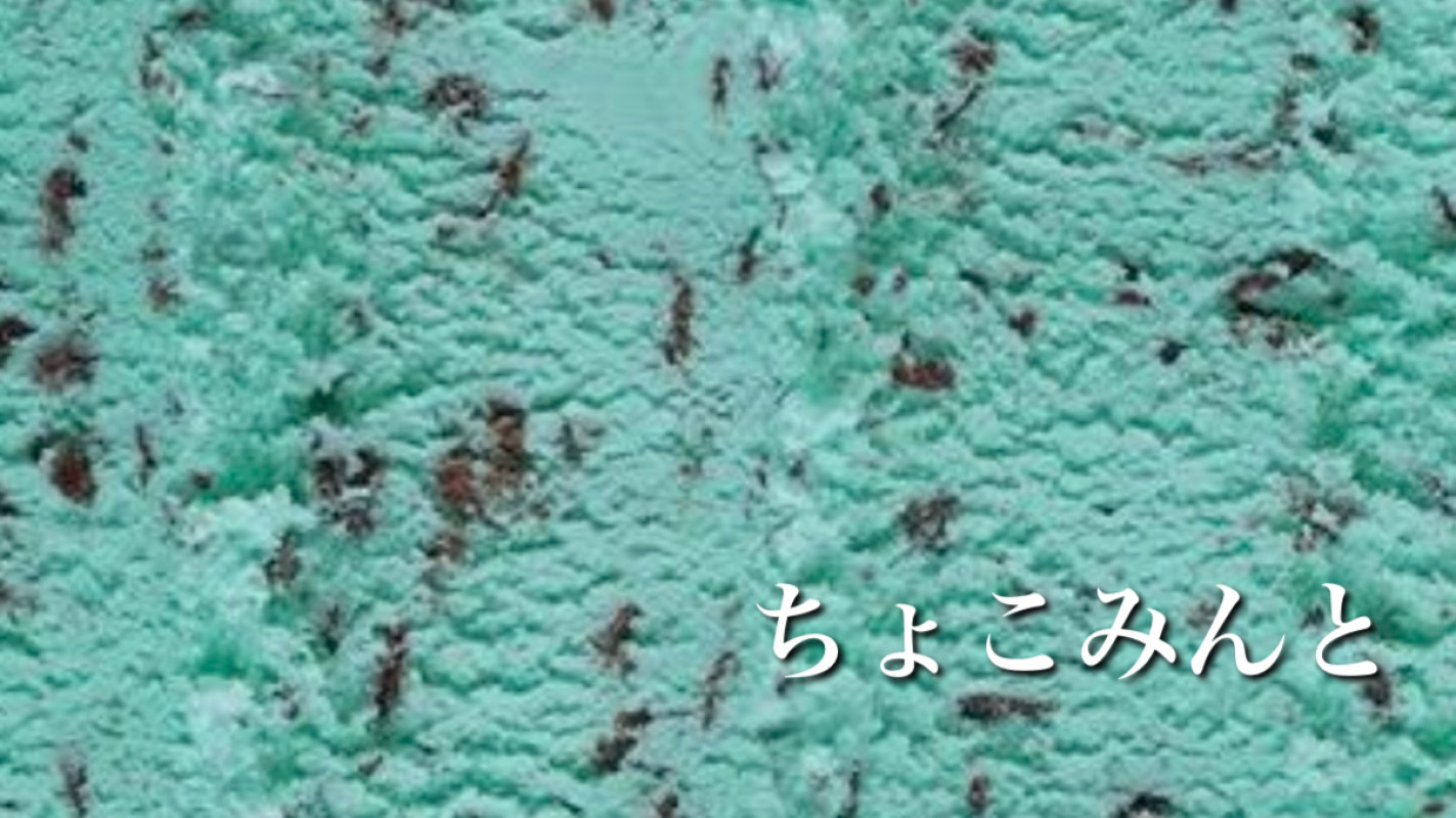 ちょこみんと