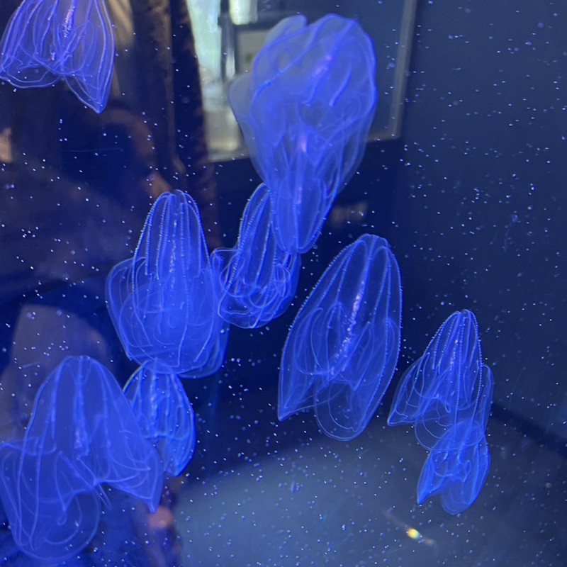 僕の気持ち
