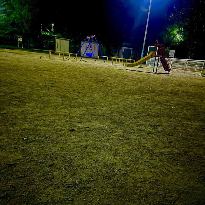 夜の公園