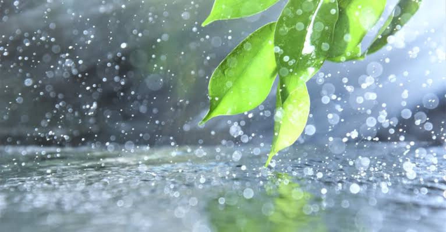 雨の朝は、そっと寄り添いたくなる。