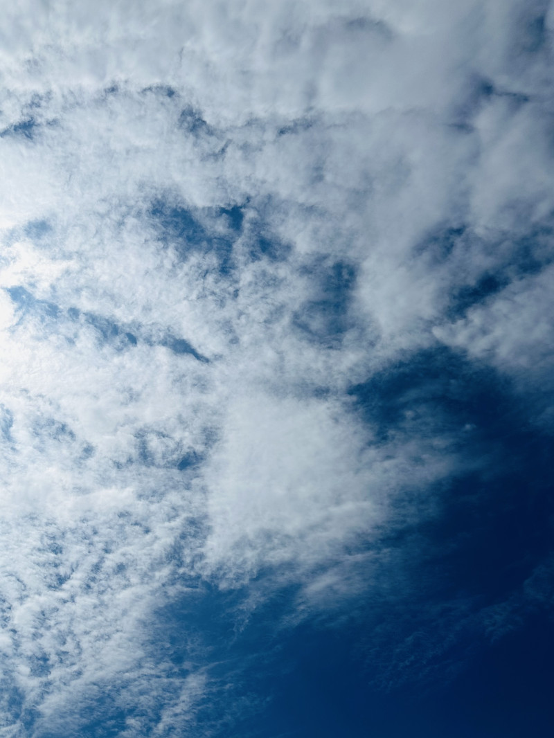 ふと見上げたら、この空