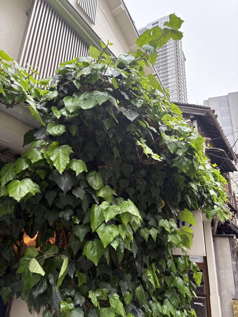 モチベーションは48時間！