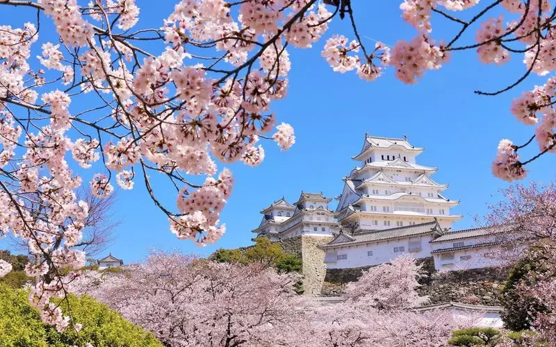 3月7日（メンチカツの日）