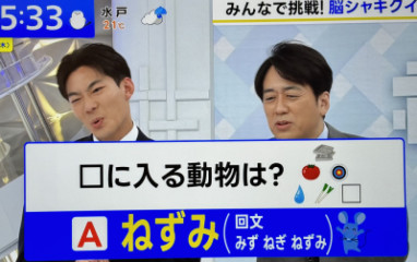 毎日更新